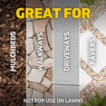 thumbnail image 6 of Spruce EZ-AIM Weed Killer & Grass Killer Spray 10 oz., 6 of 12