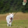 thumbnail image 3 of Correa retráctil para perros, cinta de nailon resistente, correa para pasear perros, asa antideslizante para perros grandes y pequeños, seguridad para caminar con gatos., 3 of 8