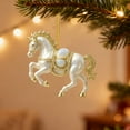 thumbnail image 1 of RKSTN Acrylic Flat Pony Pendant E, 1 of 5
