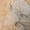 Orange, variant on Addison Rugs Dream Shag Premium Machine Washable Transitional Watercolors Brown Rectangle Rug, 10' x 14'