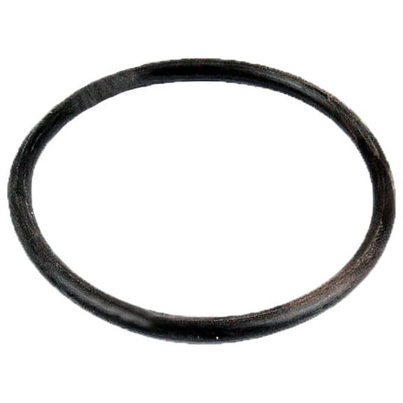 RAParts Hyd Lift Piston O-Ring - Fits Massey Ferguson - 2528202K1