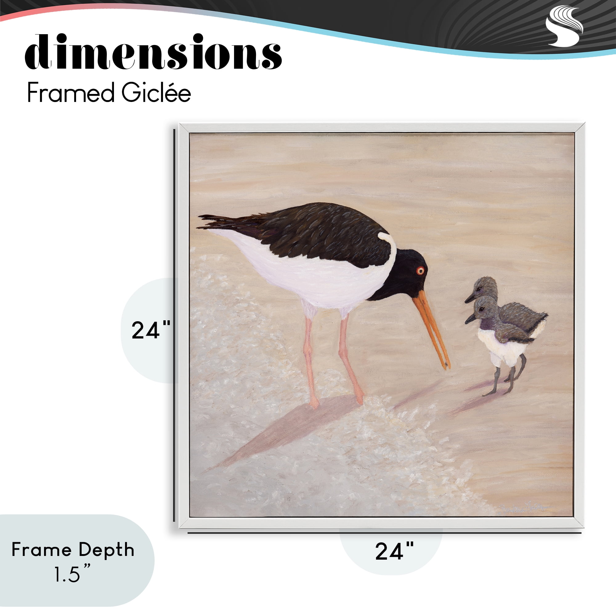 Stupell Industries American Oyster Catcher & Chicks White Framed Giclee Art, design by Barbara Fallenbaum