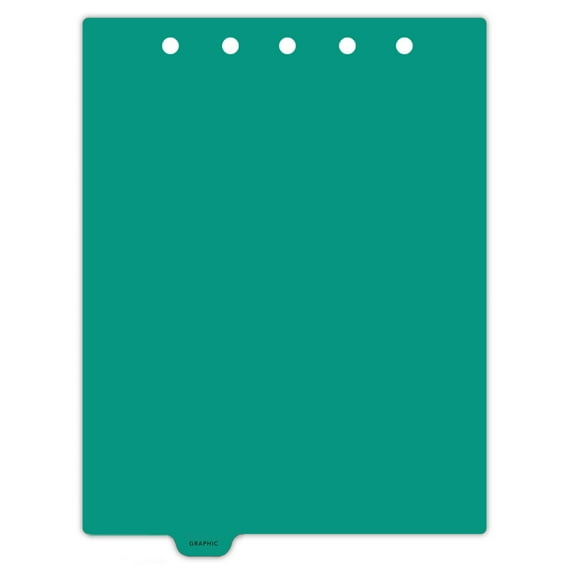 Carstens - Heavy Duty Graphic Chart Plastic Ring Binder Dividers, Bottom Tab, 1/9 Cut, Tab 2 Position, US Letter, Pack of 10, (2623-02) - Ideal Medical Chart Dividers for 3 Ring Binders