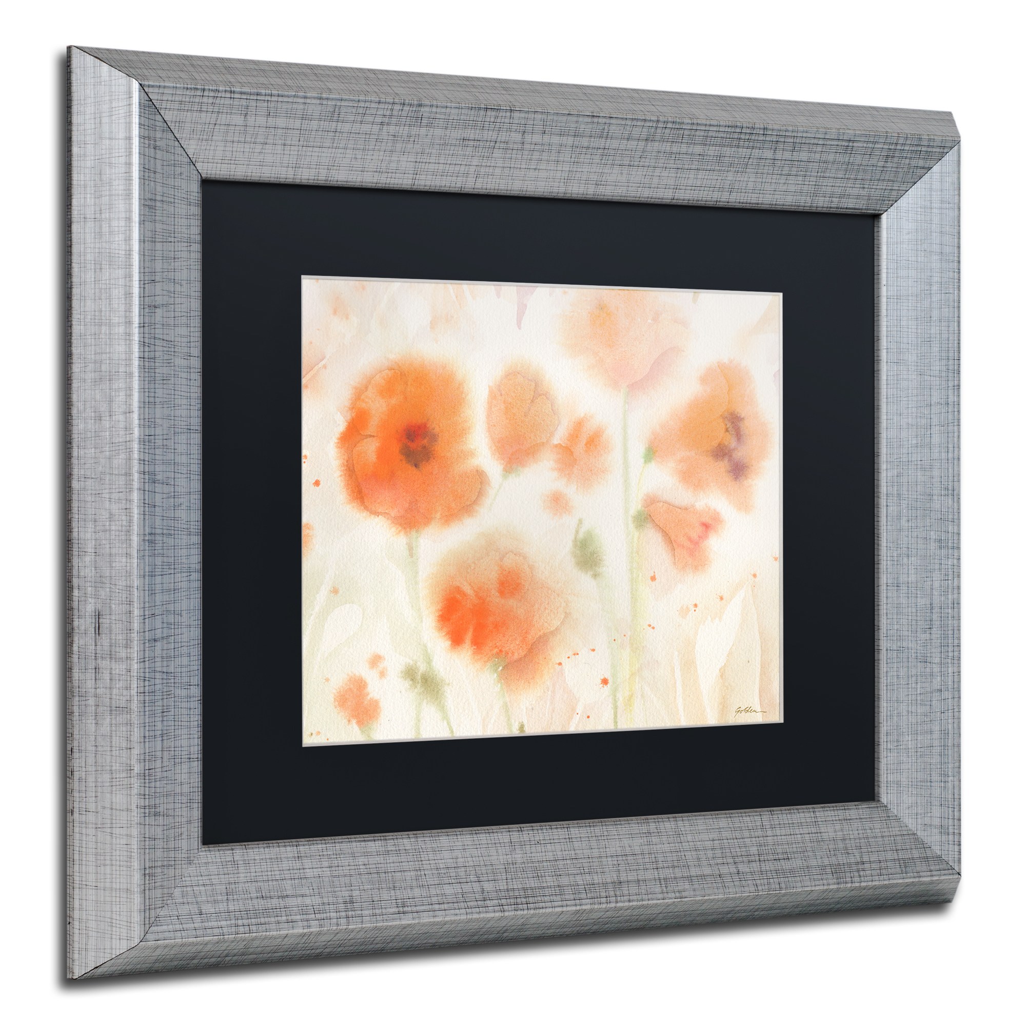 Trademark Fine Art "Orange Tones" Canvas Art by Sheila Golden, Black Matte, Silver Frame