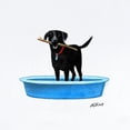 thumbnail image 2 of CafePress - Black Labrador Retriever In Kiddie Pool Body Suit - Baby Light Bodysuit, Size Newborn - 24 Months, 2 of 4