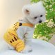 thumbnail image 5 of Ropa para mascotas Monos de punto a rayas Trajes Mono para perros pequeños Gatos Niño Niña Cachorro Suéter con pantalones Ropa linda Yorkie Chihuahua, 5 of 8