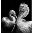 thumbnail image 2 of Singh, Anita 15x16 Gold Ornate Wood Framed with Double Matting Museum Art Print Titled - Crisscross, 2 of 4