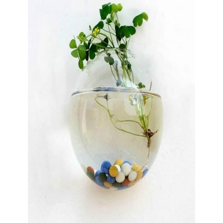 GY Wall-Mounted Fish Tank Wall Decorative Creative Self-Absorbent Plant  Flowerpot Wall Pendant Hanging Fish Globe - AliExpress