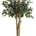 thumbnail image 5 of Nearly Natural 6 ft. Double Ball Ficus Silk Tree, 5 of 6