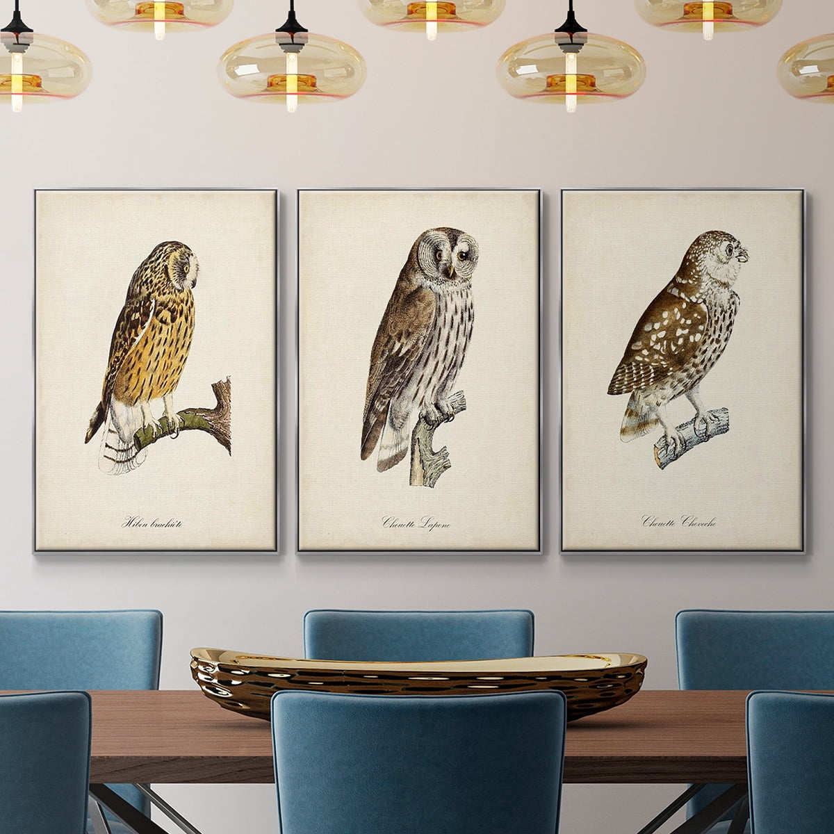 French Owls I - Framed Premium Gallery Wrapped Canvas L Frame 3 Piece Set - Ready to Hang