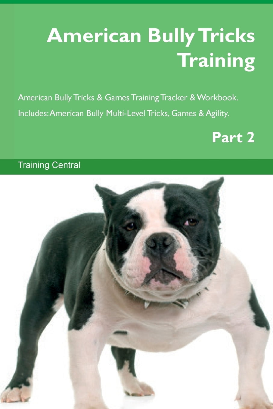 american bully agility