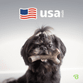 thumbnail image 5 of Benebone Medium 4-Pack Dog Chew Toys for Aggressive Chewers, 60lbs and Under, 5 of 6