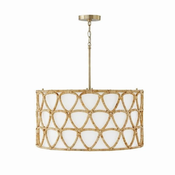 4 Light Pendant In Coastal Style-24 Inches Tall And 24.5 Inches Wide     -Traditional Installation Capital Lighting 347241Ma