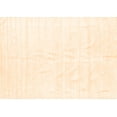 thumbnail image 1 of Ahgly Company Indoor Rectangle Solid Orange Modern Area Rugs, 8' x 10', 1 of 1