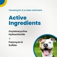 Terramycin Antibiotic Ointment for Eye Infection Treatment in Dogs