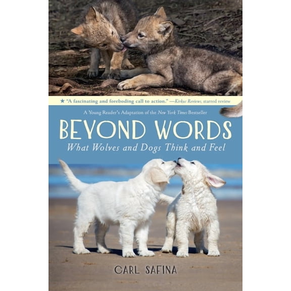 Beyond Words Beyond Words: What Wolves and Dogs Think and Feel (a Young Reader's Adaptation), Book 2, (Paperback)