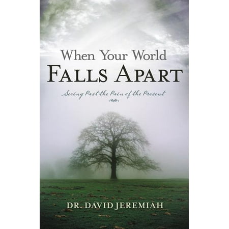 When Your World Falls Apart: See Past the Pain of the Present (Best Way To See The World)