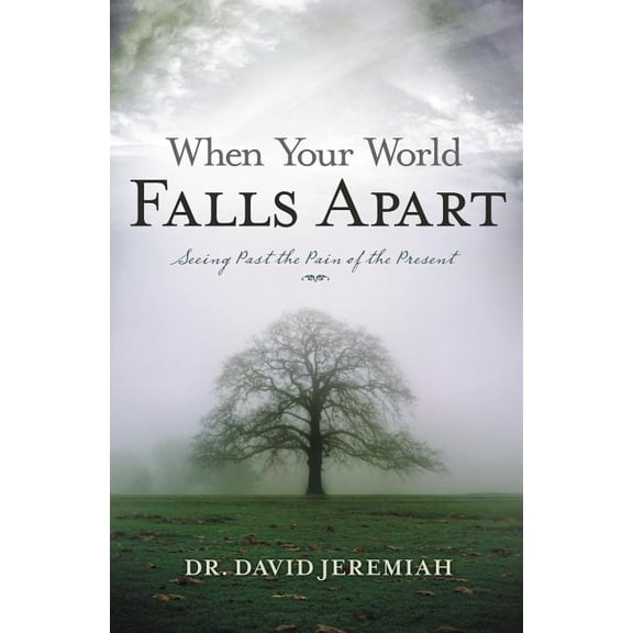When Your World Falls Apart: See Past the Pain of the Present, (Paperback)