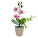 thumbnail image 1 of Matsuzay Flores artificiales en maceta, elegante, duradera, duradera, para interiores o exteriores, nueva flor de simulación Flores artificiales B, 1 of 6