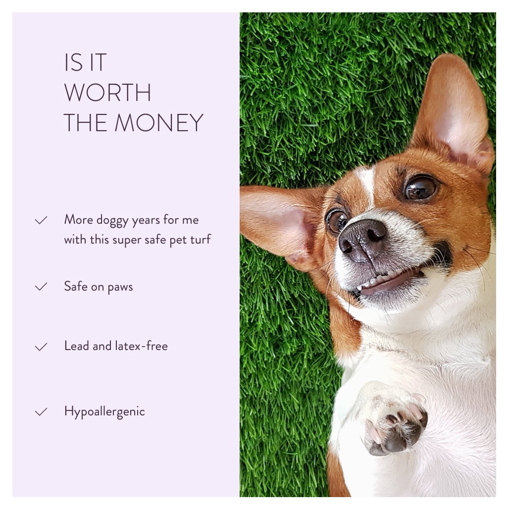MegaGrass Pomeranian 20 x 30 in Artificial Grass for Small Pet Dog Potty Indoor/Outoor Area Rug