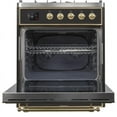thumbnail image 3 of ILVE Majestic II 30" LP Glass Door Modern Metal Range in Glossy Black/Brass, 3 of 3