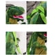 thumbnail image 5 of Mochila de dinosaurio para niños con forma de dinosaurio de dibujos animados en 3D, mochila de animales de felpa suave para niños, para viajes, escuela, camping, verde, 5 of 7