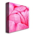thumbnail image 2 of Trademark Fine Art Kurt Shaffer 'Pink Tulip Abstract' Canvas Art 24x24 Inches (KS451-C2424GG), 2 of 2