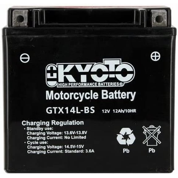 FACESOFT YUAM3RH4L YTX14L-BS Battery, Multi-Colored