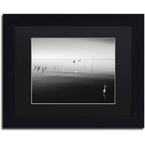 Trademark Fine Art "11 Herons" Canvas Art by Moises Levy Black Matte, Black Frame
