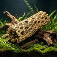 thumbnail image 5 of huayou Artificial Fish Shrimp Hideout, Durable Small Fish Shrimp Hide Cave, for Fishtank Aquarium Decor, 5 of 6