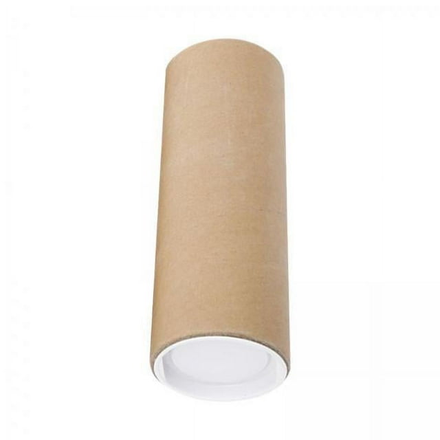 koolsoo 6X Long Carton avec Bouchons Tube d'Expédition pour Peintures Expédition de Documents