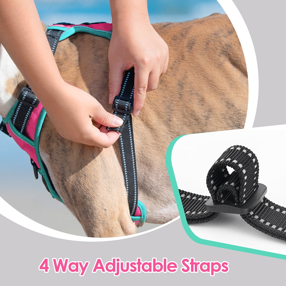PHOEPET 2019 Upgraded No Pull Dog Harness, Reflective Adjustable Vest, with a Training Handle + 2 Metal Leash Hooks+ 3 Snap Buckles +4 Slide Buckles