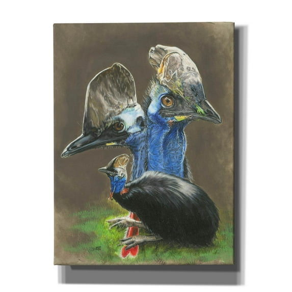 Epic Graffiti 'Cassawary' by Barbara Keith, Canvas Wall Art, 12"x16"