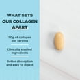 thumbnail image 2 of Collagen Peptides by Ancient Nutrition, Collagen Peptides Tablets, Unflavored Hydrolyzed Collagen, Supports Healthy Skin, Hair, Joints, Gut, Gluten Free, Paleo, and Keto Friendly, 30 Count, 2 of 6