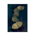 thumbnail image 1 of Ian Winstanley Dark Tropics I Print, 1 of 1