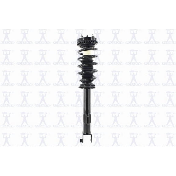 Suspension Strut and Coil Spring Assembly