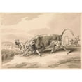 thumbnail image 2 of Samuel Howitt 24x18 Gold Ornate Framed and Double Matted Museum Art Print Titled - Bull Attacking Mastiff, 2 of 4