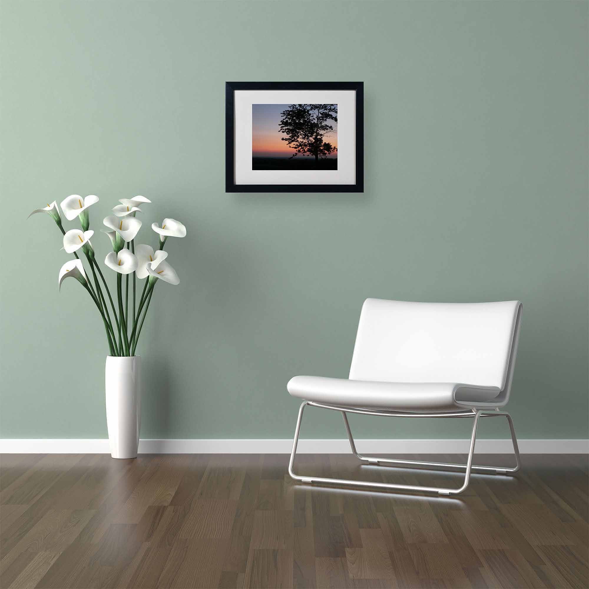 Trademark Fine Art "Soothing Symmetry" Canvas Art by Monica Fleet, White Matte, Black Frame