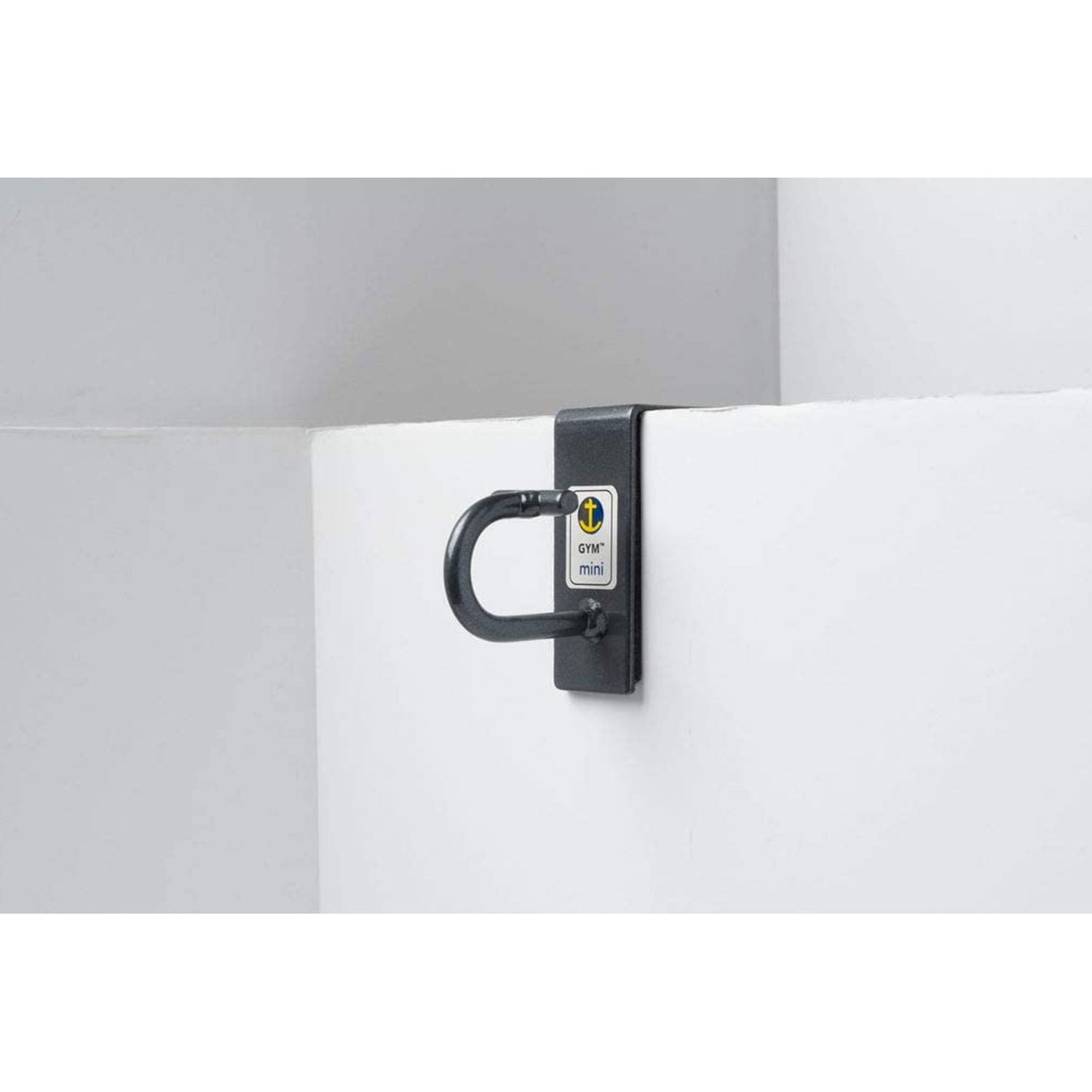 Anchor Gym Mini Steel Door Mount for Resistance Bands and Strength Training