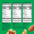 thumbnail image 2 of Nuts Mixed Nuts Variety Pack 18ct (1-Pack) , 100-Calorie Individual Packs , Features Dry Roasted Almonds, Natural Almonds & Walnuts, and Roasted & Salted Cashews, 2 of 5