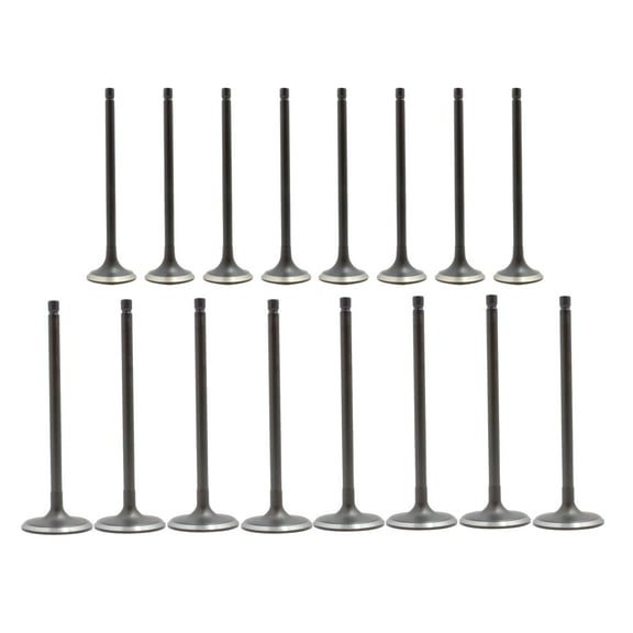 DNJ VK16674 Exhaust Intake Valve Kit Fits Cars & Trucks 13-19 Nissan Sentra L4 1.8L DOHC 16V EV674 X8 IV674 X8
