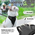 thumbnail image 4 of Cat Harness And Leash For Walking, Escape Proof Soft Adjustable Vest Harnesses For Cats, Easy Control Breathable Jacket, Black, Xs, 4 of 4