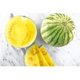 thumbnail image 6 of TomorrowSeeds - Yellow Petite Watermelon Seeds - 60+ Count - For 2026 Planting Yellow Flesh Personal, 6 of 9