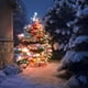 Northlight Ensemble de 300 Mini-Ensemble de Lumières de Noël Multicolores, Fil Vert de 61 Pieds – image 2 sur 6