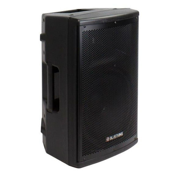 12 in. 1000 Watts 2-Way Active Loudspeaker