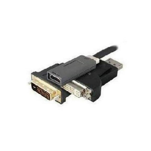 8 in. HDMI to DisplayPort Male to Female USB Powered Adapter Cable, Black