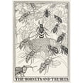 thumbnail image 3 of Percy J. Billinghurst 18x24 Black Modern Framed Museum Art Print Titled - The Hornets and the Bees (1900), 3 of 5