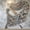 KM622-1, variant on Adult Diamond Painting Kit - Cherry Blossom Path, DIY 5D Diamond Painting Starter Kit, Full Round Drill Gem Painting, Handmade Diamond Dot Painting for Adults, Home Wall Decor, Frame Not Included.