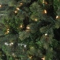 thumbnail image 2 of Northlight 9' Prelit Artificial Christmas Tree Savannah Spruce - Clear Lights, 2 of 3