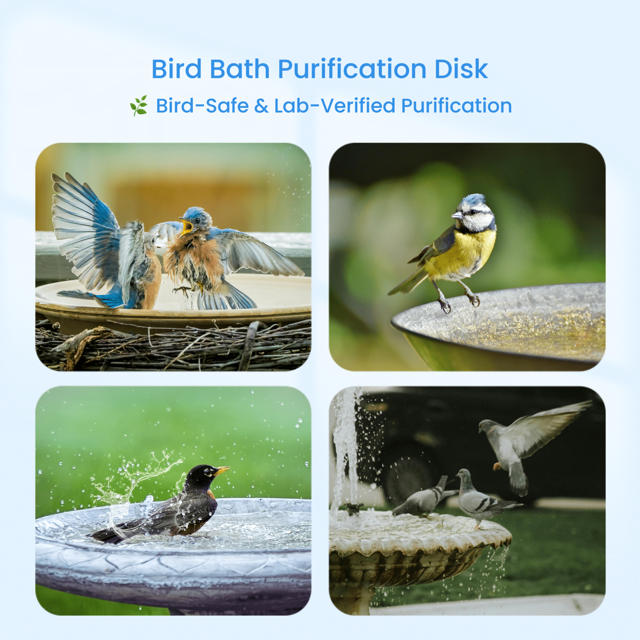 Nyhpar 4Pcs Bird Bath Copper Disk,99.99% Pure Copper Bird Bath Purification Disk,Universal Fit for Outdoor Ceramic/Concrete/Stone Bowl
